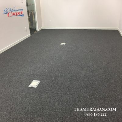 Thảm tấm SUMINOE PX 3000 (Japan)