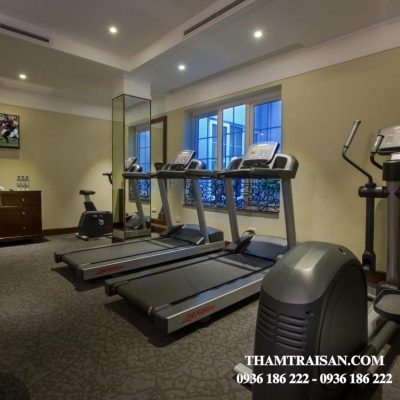 Ứng dụng thảm tấm nhập khẩu Woodlands