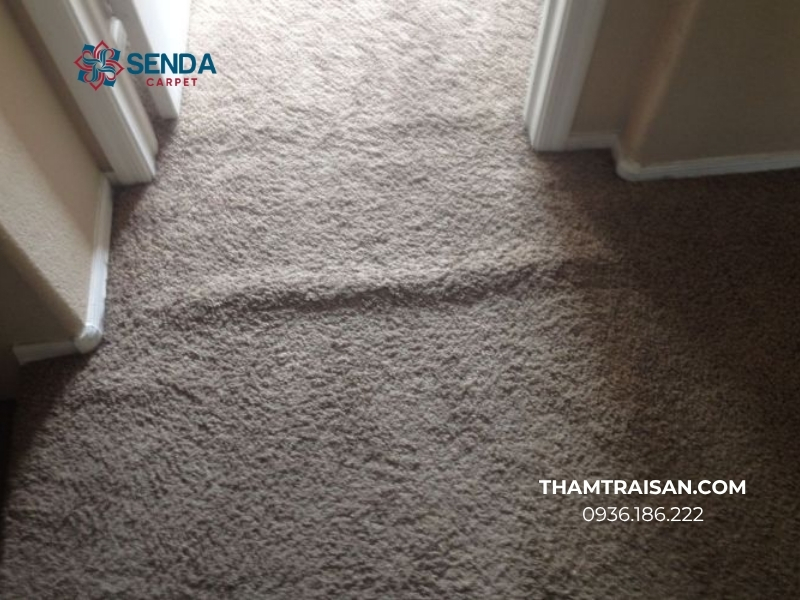 Khi nào nên thay thảm văn phòng?