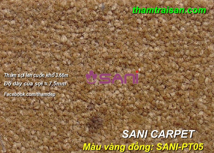 tham len sani carpet pt05