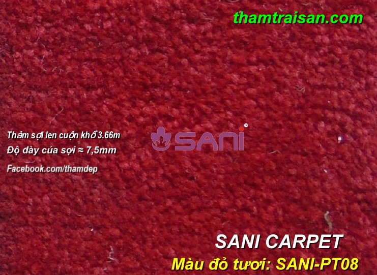 tham len sani carpet pt08
