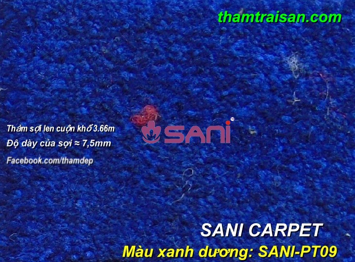 tham len sani carpet pt09