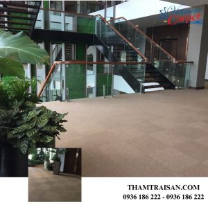 Thảm tấm 50x50 đế cao su Tuntex T12 nhiều màu