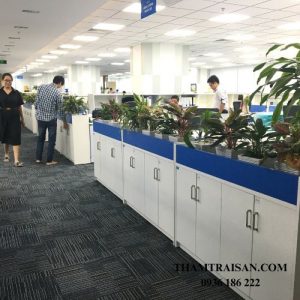 Thảm thi công tại Flamingo Forest in the Sky