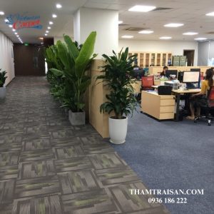 Thảm tấm FP8 series