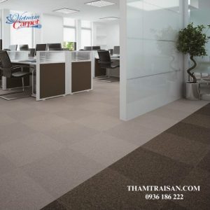 Thảm tấm SUMINOE PX 3000 (Japan)