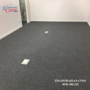 Thảm tấm SUMINOE PX 3000 (Japan)