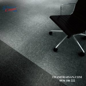 Thảm tấm SUMINOE PX 3000 (Japan)