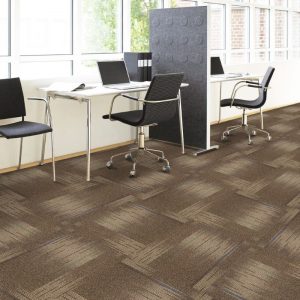 Ứng dụng thực tiễn của sản phẩm