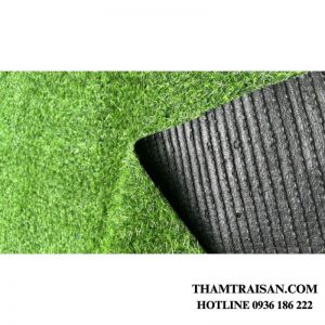 Thảm cỏ tấm nhân tạo 2cm (2m x 25m)