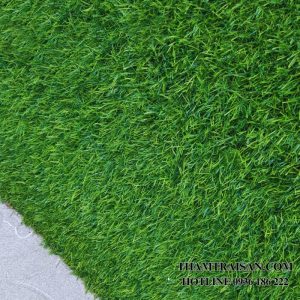 ảnh Thảm cỏ nhân tạo 3cm