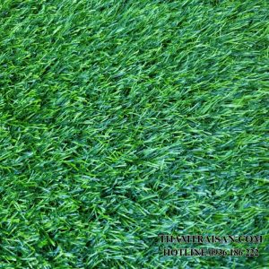 Thảm cỏ nhân tạo 3cm (2m x 25m)