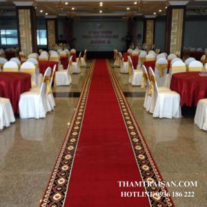 Thảm dẫn lối TDL133