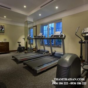 Ứng dụng thảm tấm nhập khẩu Woodlands