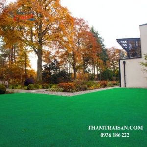 Thảm Cỏ Tấm Nhân Tạo 3cm 02