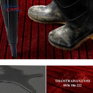 Thảm chùi chân màu đỏ NEWSHOER đa dạng kích thước