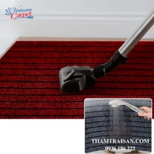 Thảm chùi chân màu đỏ NEWSHOER đa dạng kích thước