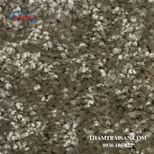 Thảm cuộn SLT Silken Touch (Xù Dubai khổ 3.66) 18