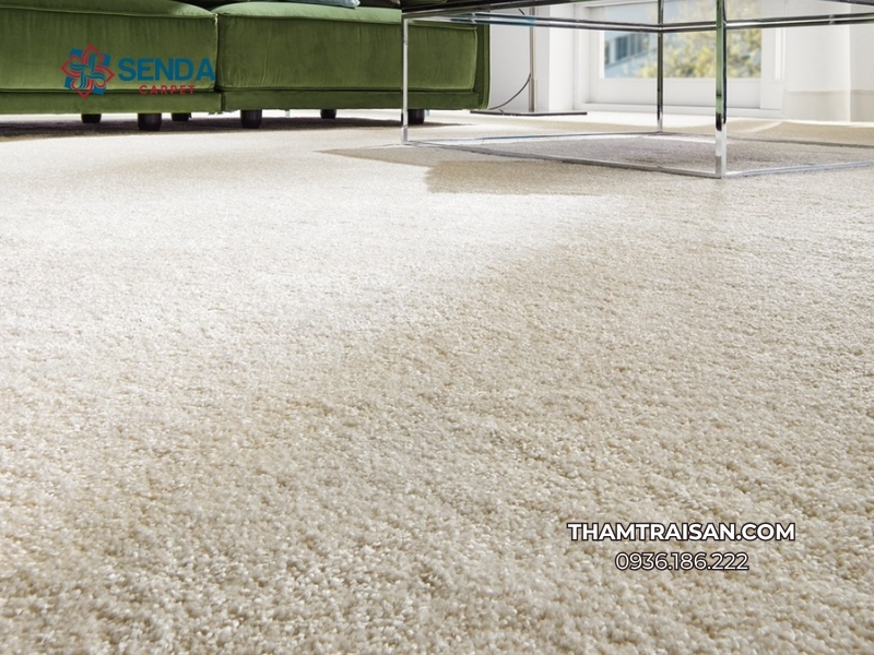 Thảm trải sàn Senda Carpet