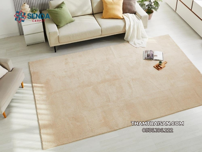 Thảm trải sàn phòng khách 2mx3m